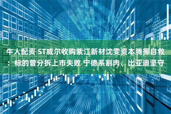 牛人配资 ST威尔收购紫江新材沈雯资本腾挪自救：标的曾分拆上市失败 宁德系割肉、比亚迪坚守