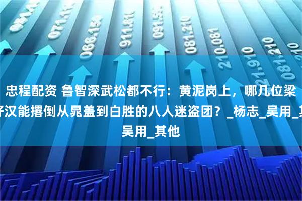 忠程配资 鲁智深武松都不行：黄泥岗上，哪几位梁山好汉能撂倒从晁盖到白胜的八人迷盗团？_杨志_吴用_其他