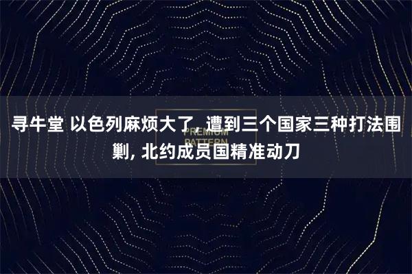 寻牛堂 以色列麻烦大了, 遭到三个国家三种打法围剿, 北约成员国精准动刀